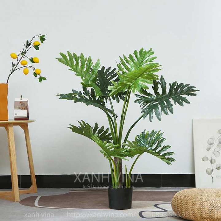 cây trầu bà nam mỹ giả